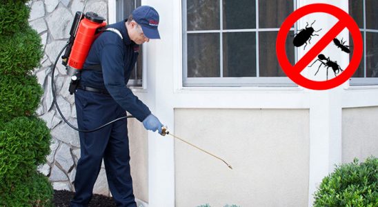 Karayazı Akrep İlaçlama böcek ilaçlama ve haşere kontrolü — ilaclama-tr.com
